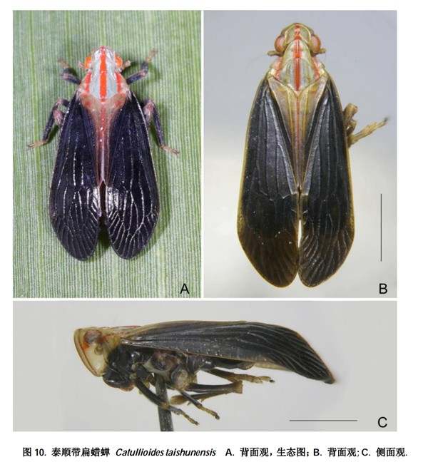 LOCAL202106011003000368701878520.jpg?x-oss-process=style/w10