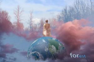 王思凝同学作品 王思凝同学作品