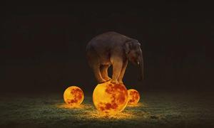 蔡平同学作品 蔡平同学作品