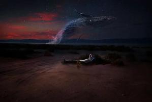 孟令超同学作品 孟令超同学作品